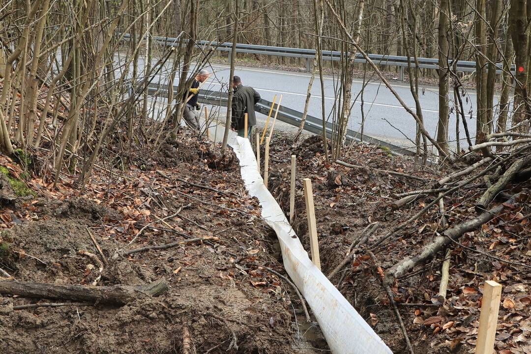 FOTO: Budovanie zábran v Slovenskom raji kvôli migrácii žiab, foto 5