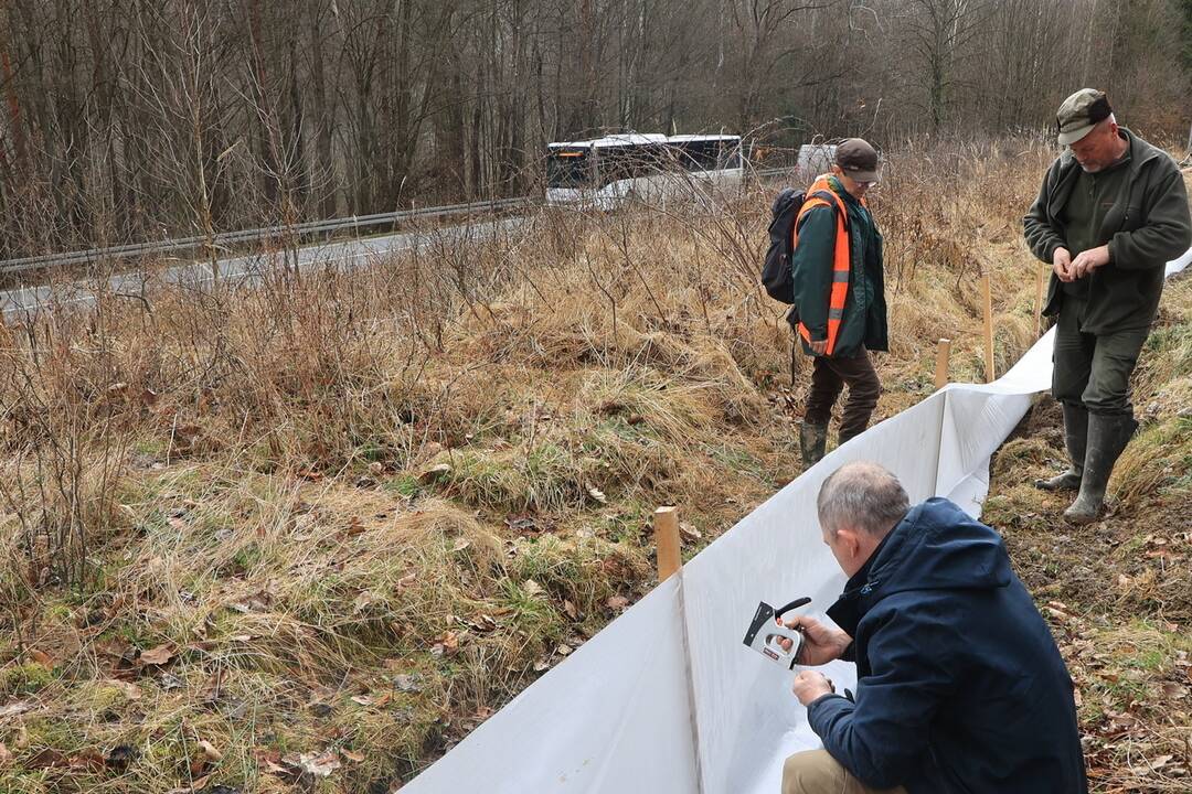 FOTO: Budovanie zábran v Slovenskom raji kvôli migrácii žiab, foto 6