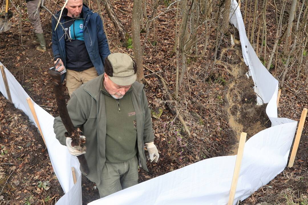 FOTO: Budovanie zábran v Slovenskom raji kvôli migrácii žiab, foto 8