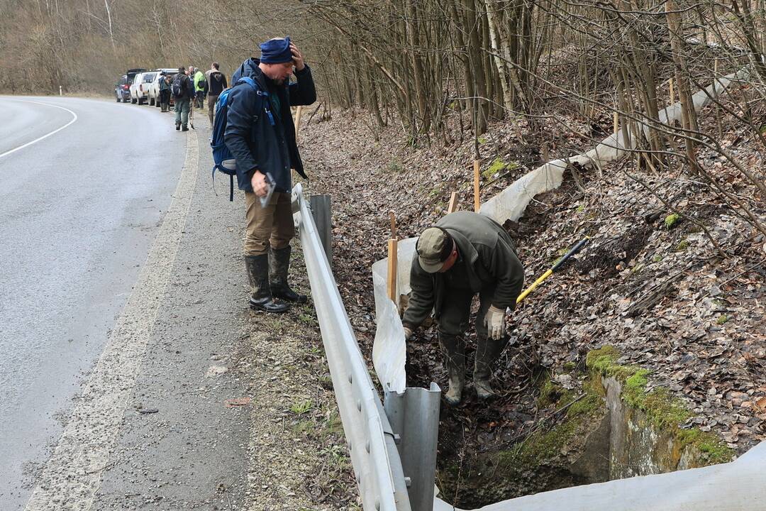 FOTO: Budovanie zábran v Slovenskom raji kvôli migrácii žiab, foto 10