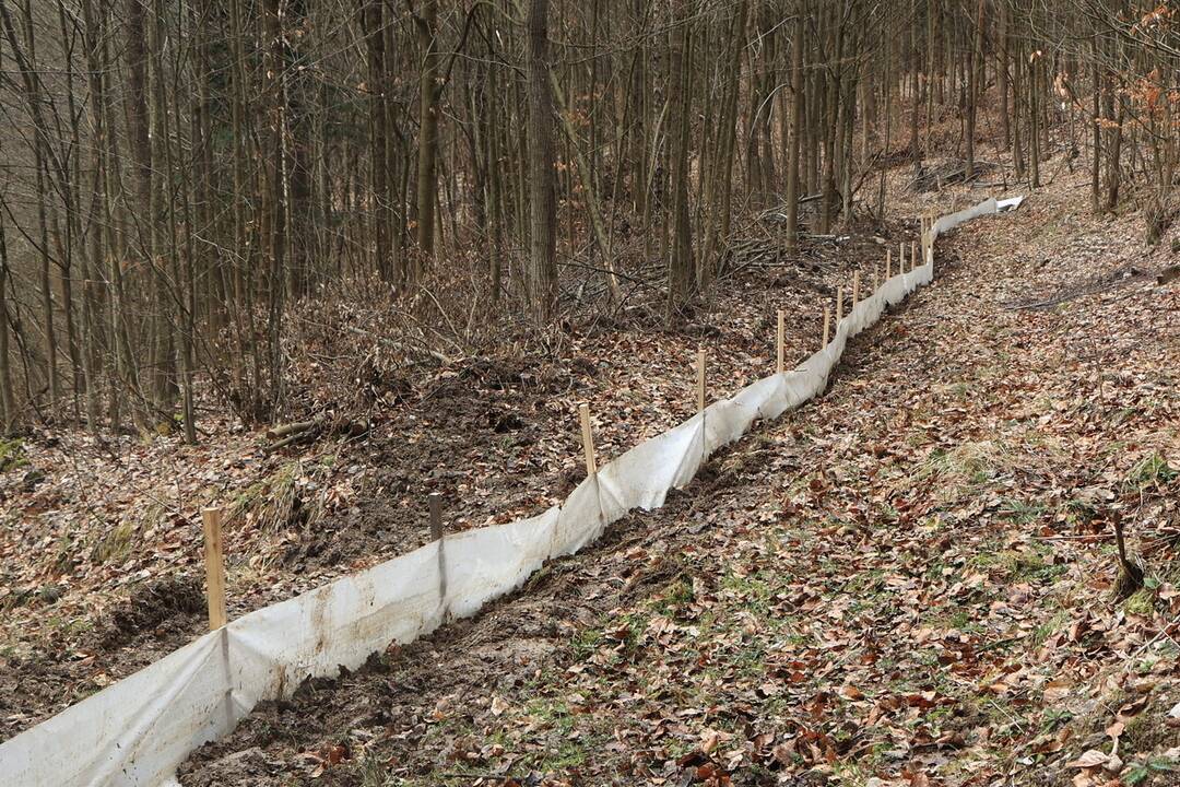 FOTO: Budovanie zábran v Slovenskom raji kvôli migrácii žiab, foto 11