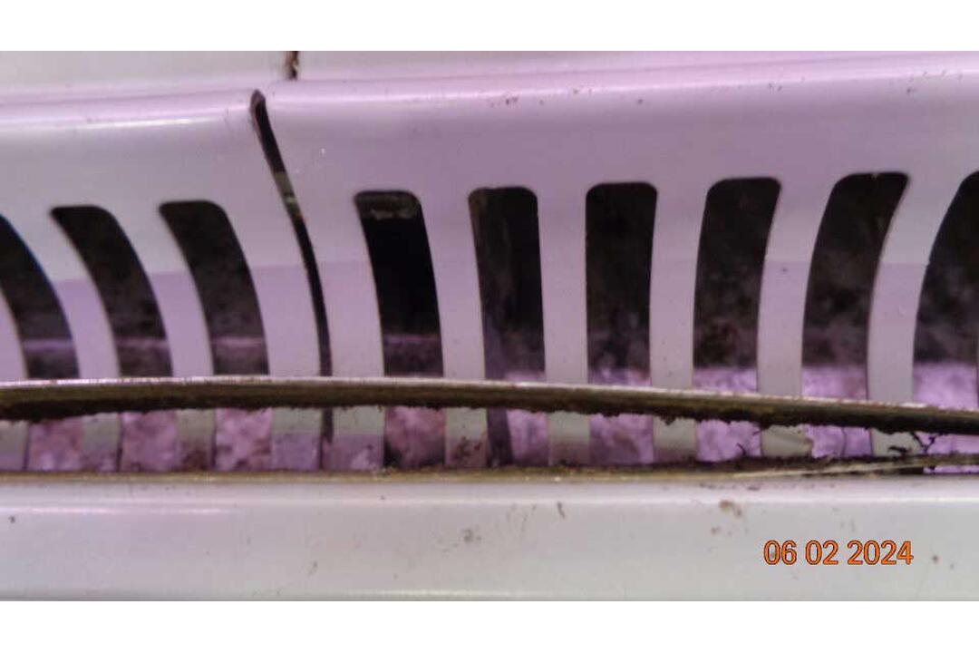 FOTO: Pleseň, exkrementy od hlodavcov aj potraviny po záruke. Toto sú najčastejšie nedostatky prevádzok, foto 3