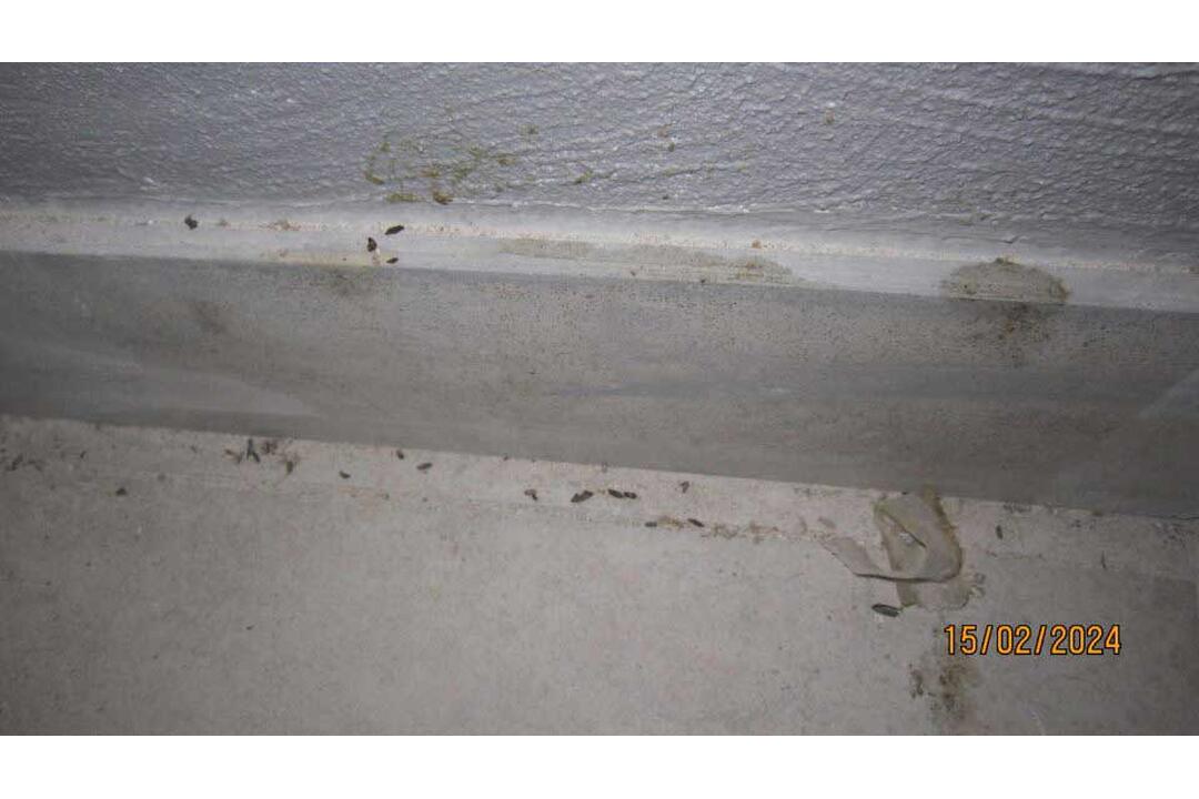 FOTO: Pleseň, exkrementy od hlodavcov aj potraviny po záruke. Toto sú najčastejšie nedostatky prevádzok, foto 43