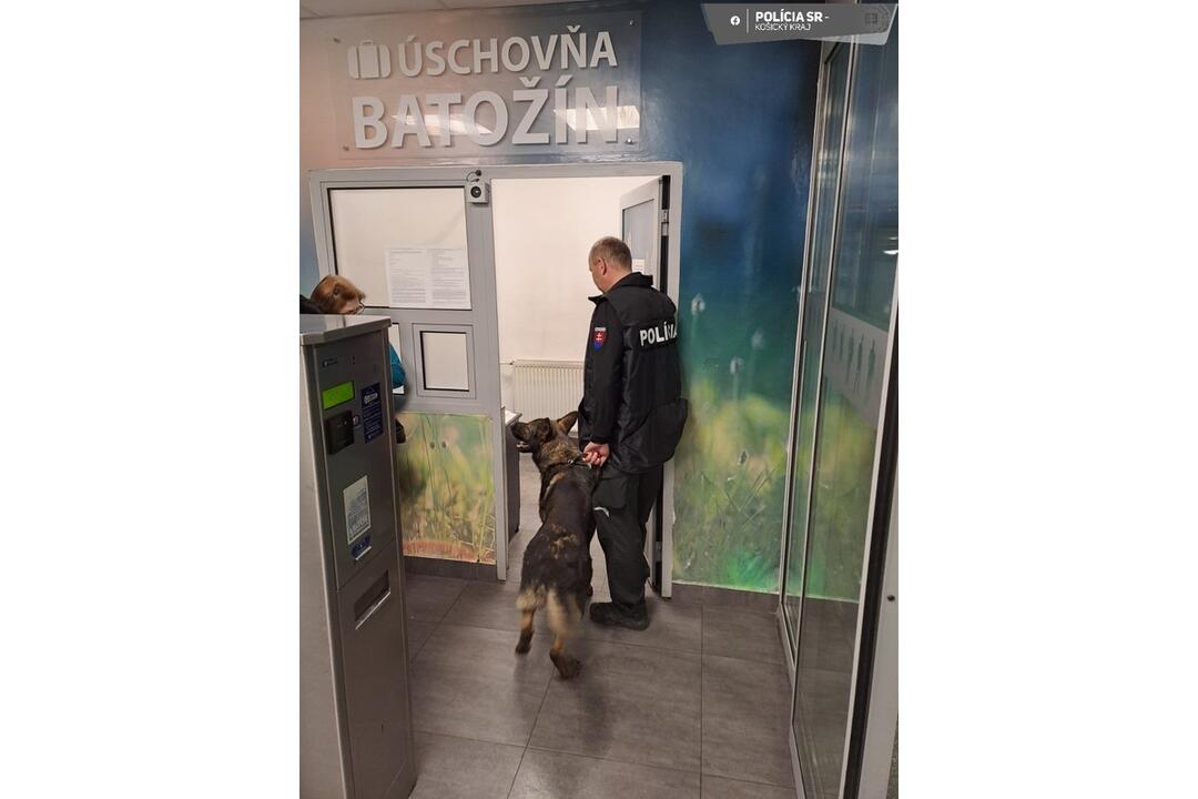 FOTO: Košickí policajti zamierili s kontrolami na železnice, foto 2