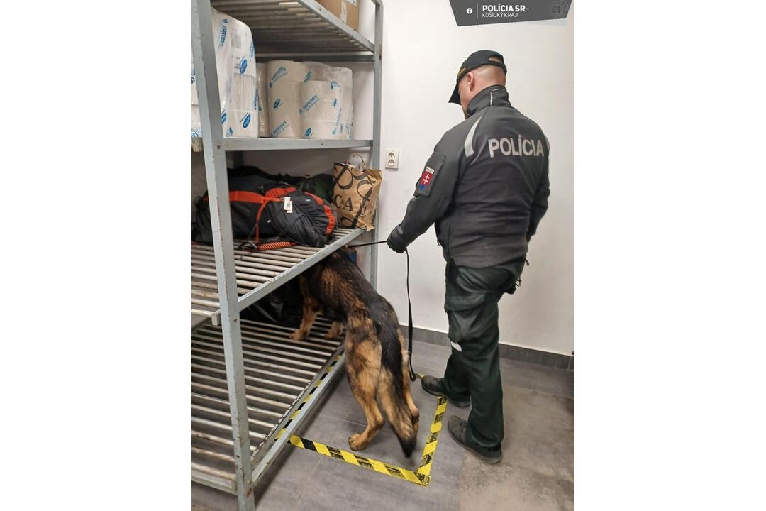 FOTO: Košickí policajti zamierili s kontrolami na železnice, foto 8