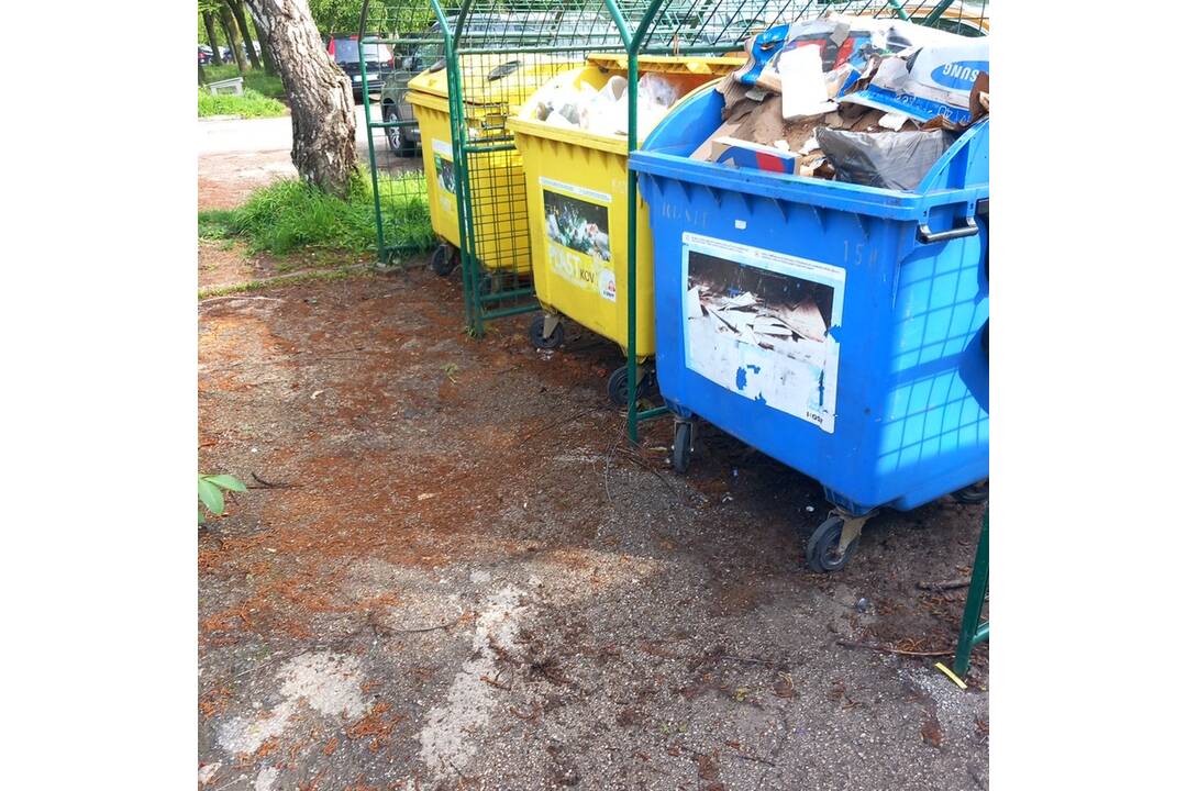 FOTO: Odpad z Juhu zmizol vďaka aktivačným pracovníkom, foto 15