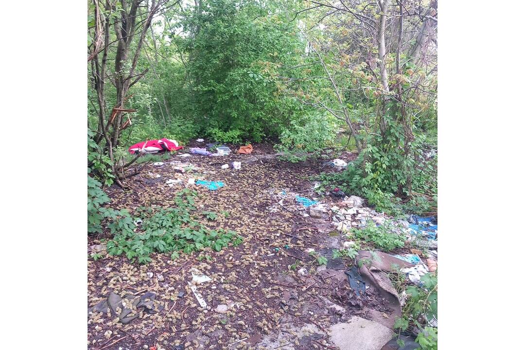 FOTO: Odpad z Juhu zmizol vďaka aktivačným pracovníkom, foto 1