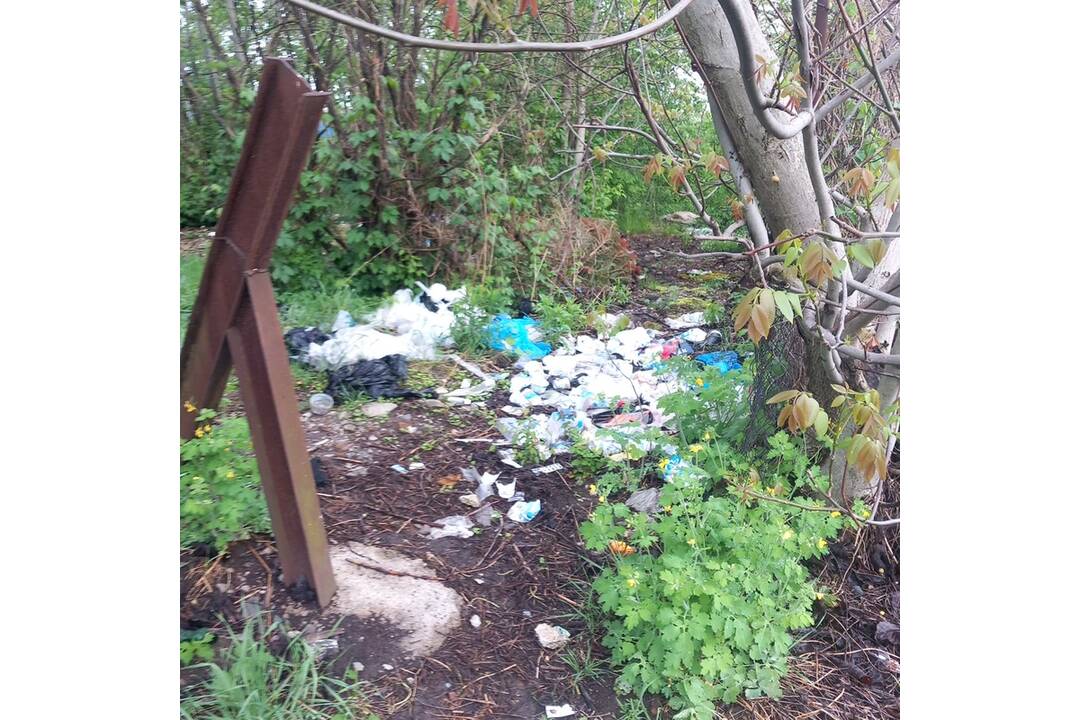 FOTO: Odpad z Juhu zmizol vďaka aktivačným pracovníkom, foto 5