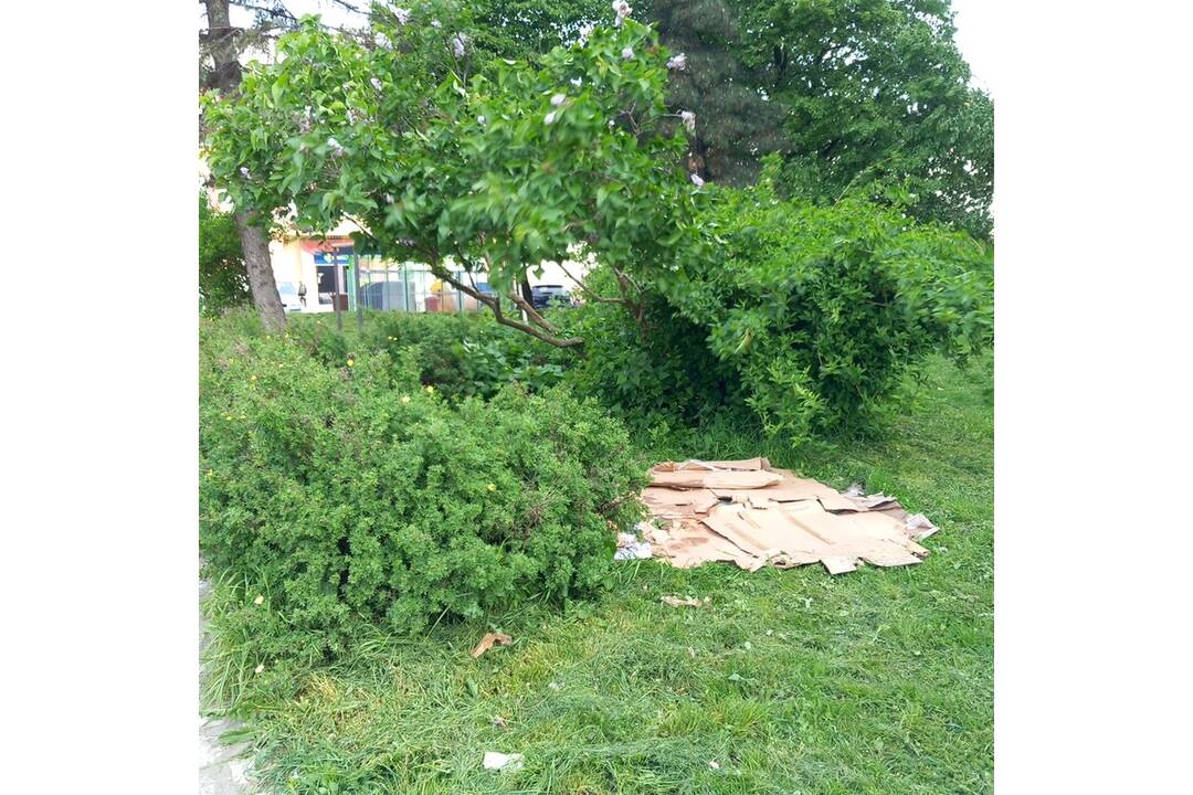 FOTO: Odpad z Juhu zmizol vďaka aktivačným pracovníkom, foto 10