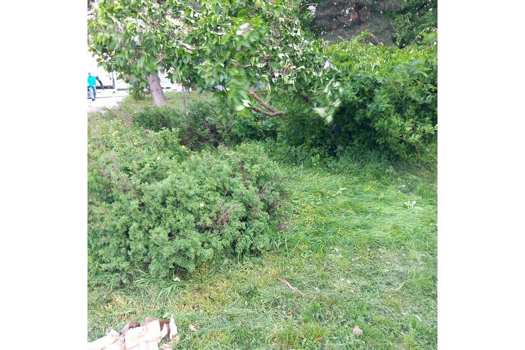 FOTO: Odpad z Juhu zmizol vďaka aktivačným pracovníkom, foto 11