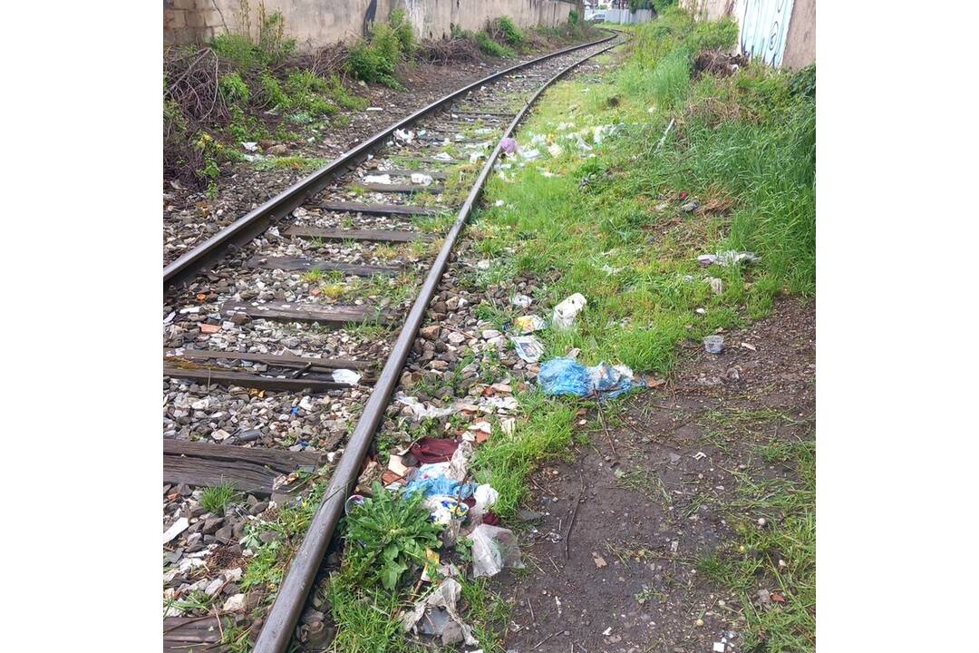 FOTO: Odpad z Juhu zmizol vďaka aktivačným pracovníkom, foto 7