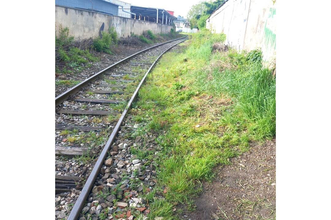 FOTO: Odpad z Juhu zmizol vďaka aktivačným pracovníkom, foto 8