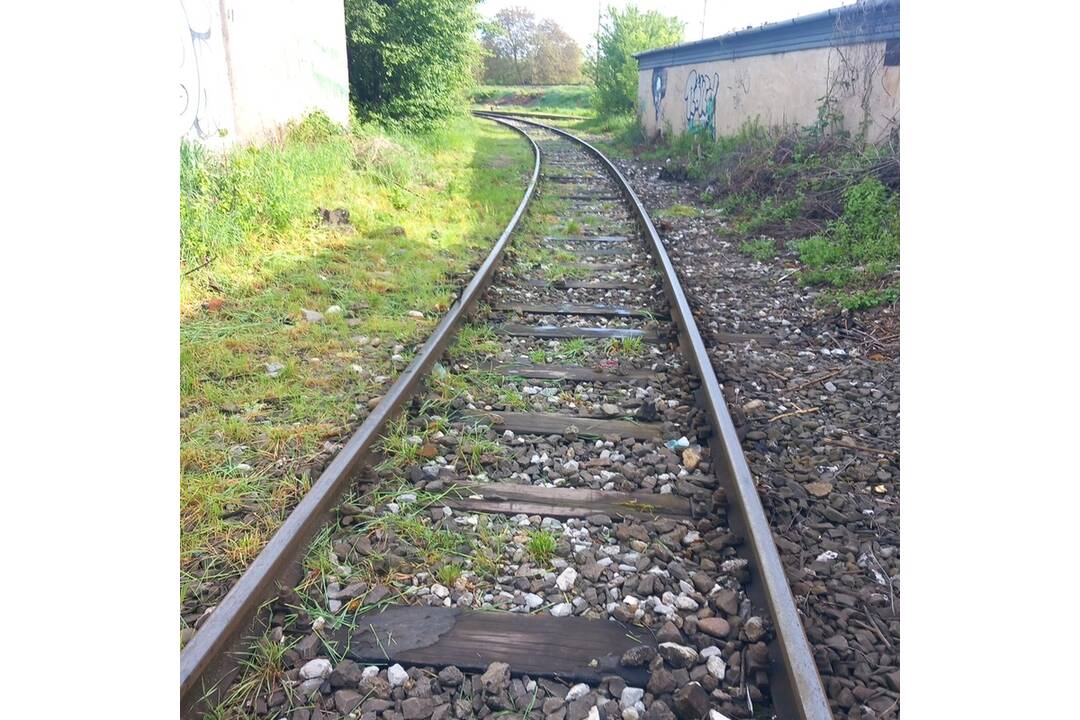 FOTO: Odpad z Juhu zmizol vďaka aktivačným pracovníkom, foto 9