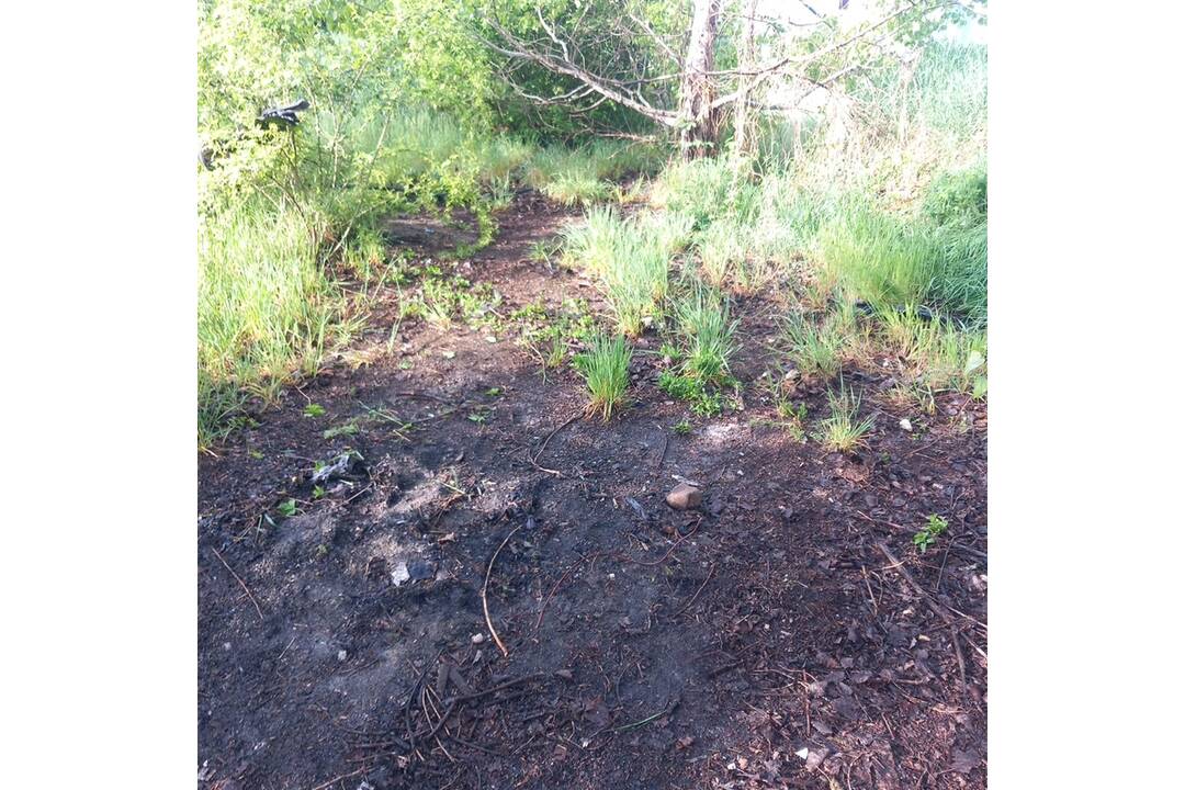 FOTO: Odpad z Juhu zmizol vďaka aktivačným pracovníkom, foto 6