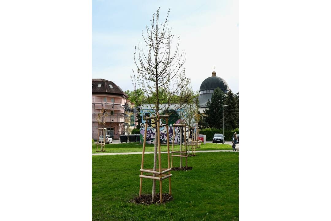 FOTO: Na sídlisku Východ v Spišskej Novej Vsi otvorili nový vnútroblok, foto 8