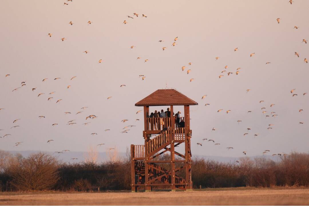 FOTO: Ocenené enviro projekty z Košického kraja, foto 1