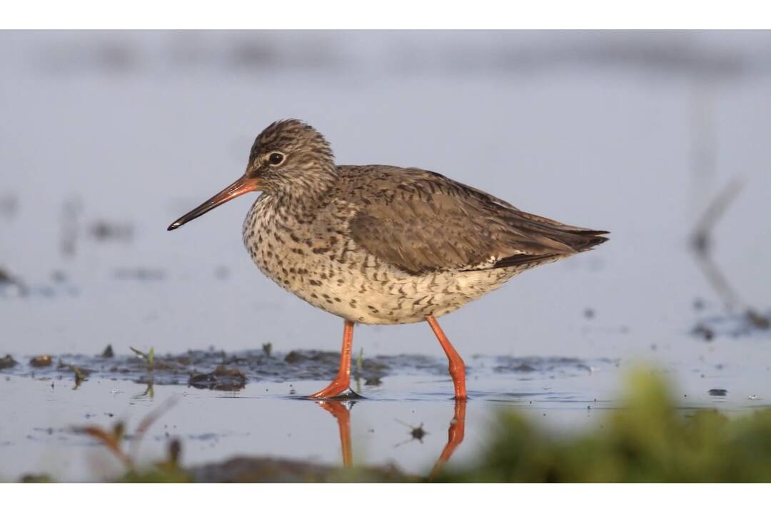 FOTO: Ocenené enviro projekty z Košického kraja, foto 8