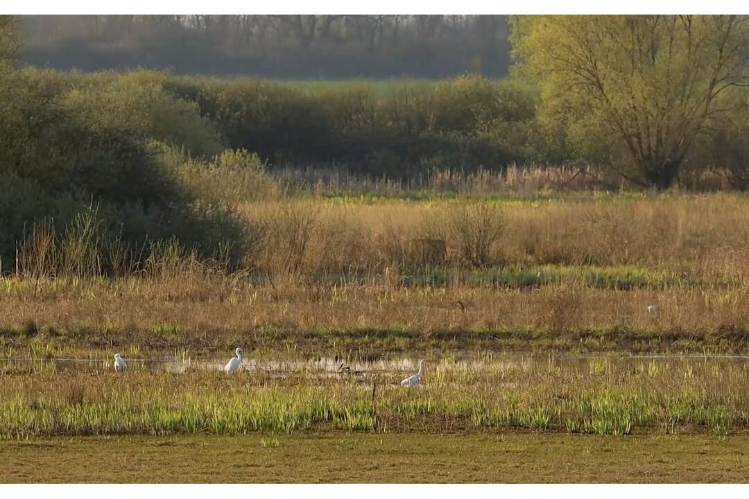 FOTO: Ocenené enviro projekty z Košického kraja, foto 3