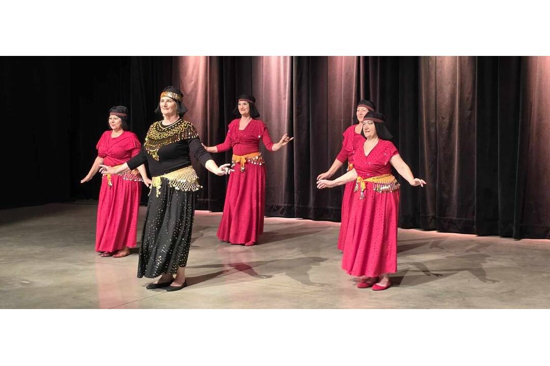 FOTO: Vystúpenia košických seniorov na Seniorskej hviezde Jar 2024, foto 27