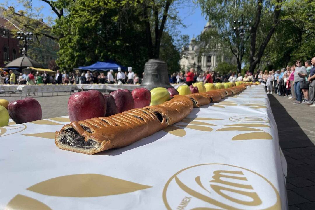 FOTO: 90-metrový makovník v centre Košíc, foto 4