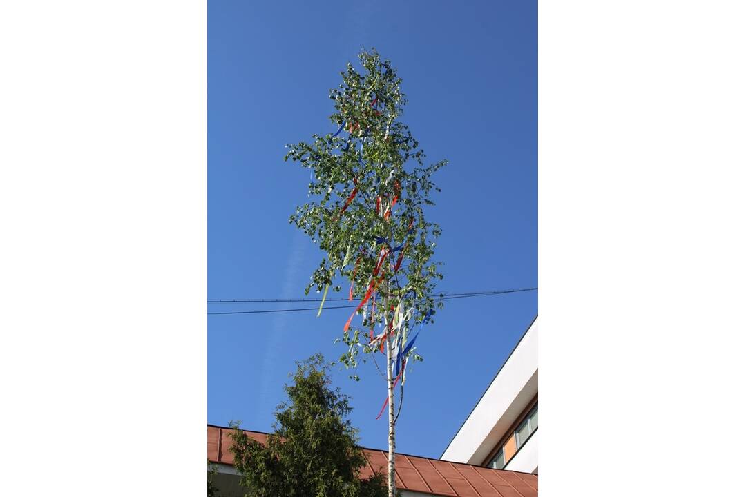 FOTO: Máje zdobia obce a mestá v celom Košickom kraji, foto 16