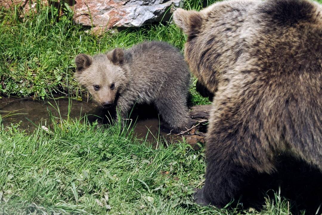FOTO: Slávnostne otvorenie košickej ZOO, foto 1