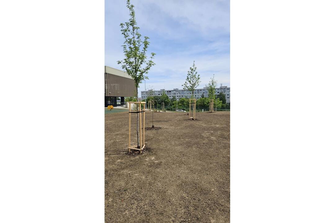 FOTO: V Košiciach vyrástlo Národné tréningové centrum, foto 3