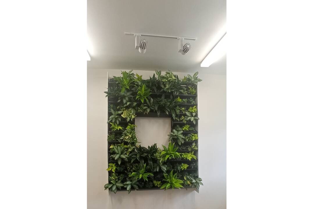 FOTO: Študenti Obchodnej akadémie v Michalovciach sa učia vo vynovených priestoroch, foto 3