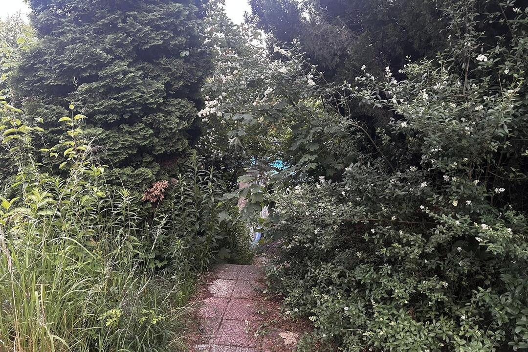 FOTO: Chátrajúce kúpalisko Triton, foto 1