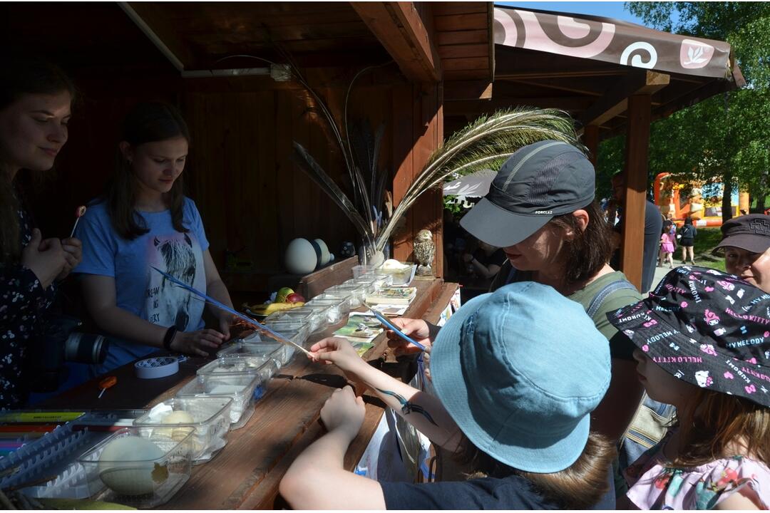 FOTO: Košicami sa rozoznel smiech a radosť detí. Ako ste oslávili MDD? Nájdite sa, foto 42