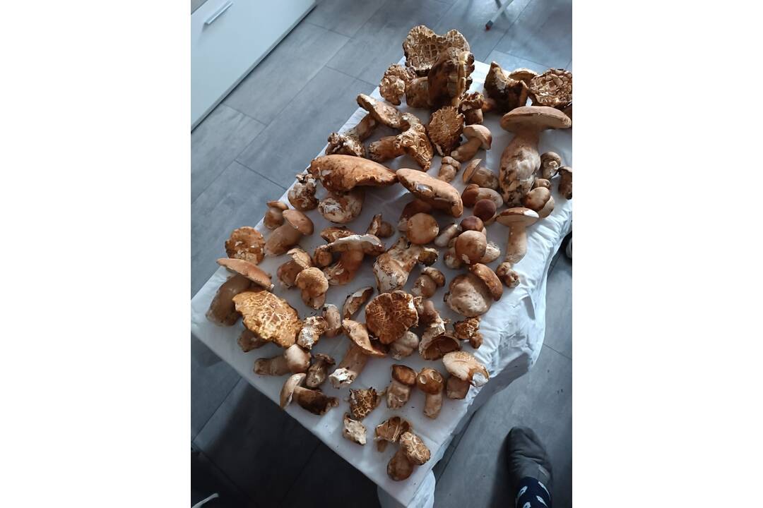 FOTO: Hubári sa tešia zo svojich úlovkov, foto 2