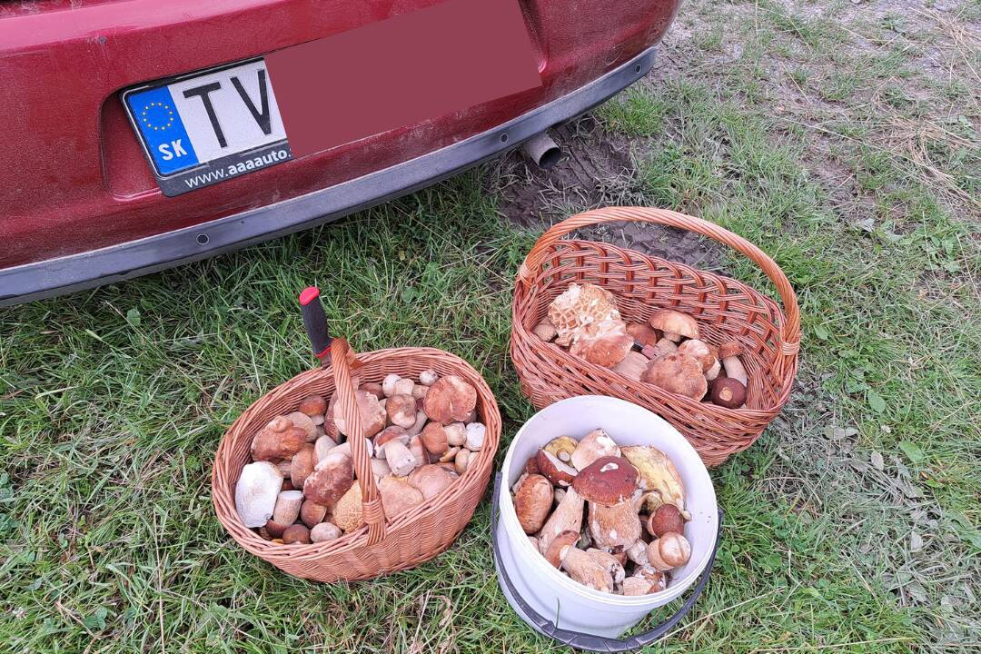 FOTO: Hubári sa tešia zo svojich úlovkov, foto 5