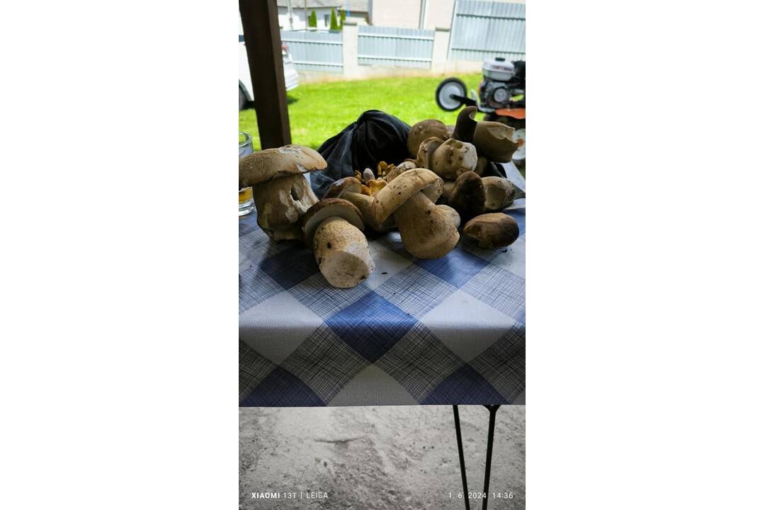 FOTO: Hubári sa tešia zo svojich úlovkov, foto 6