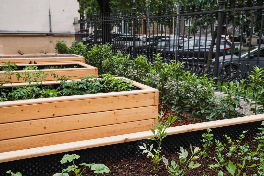 FOTO: Na novej terase v Centre aktívneho starnutia sa môžu seniori všestranne realizovať, foto 2