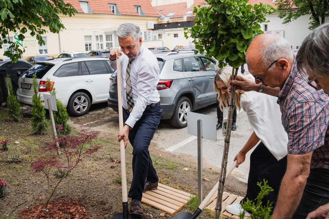 FOTO: Na novej terase v Centre aktívneho starnutia sa môžu seniori všestranne realizovať, foto 4