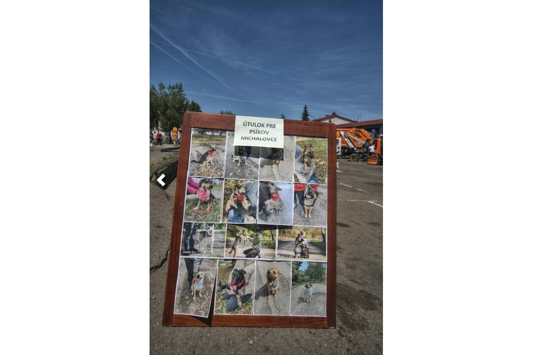 FOTO: Technické služby mesta Michalovce otvorili brány verejnosti, foto 9