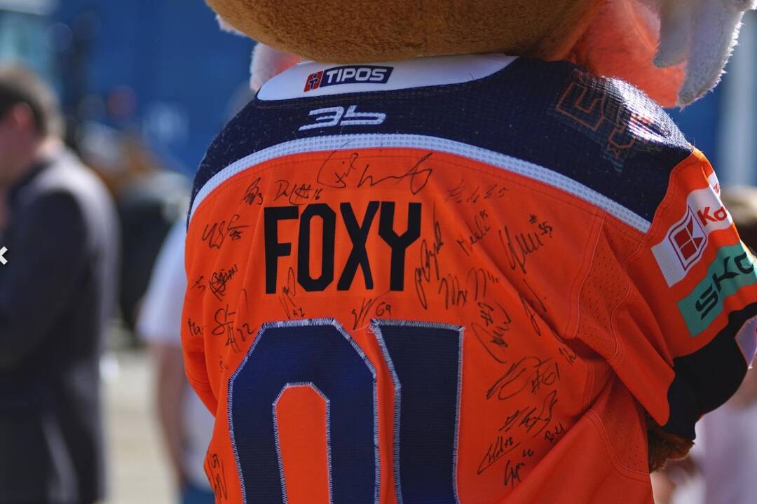 FOTO: Technické služby mesta Michalovce otvorili brány verejnosti, foto 14