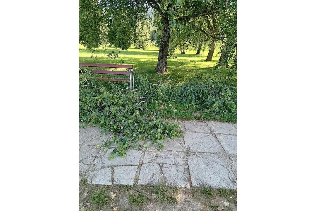 FOTO: Košická mestská časť vyprodukuje denne až 75 vriec odpadu. Obyvatelia, to chce zmenu!, foto 9