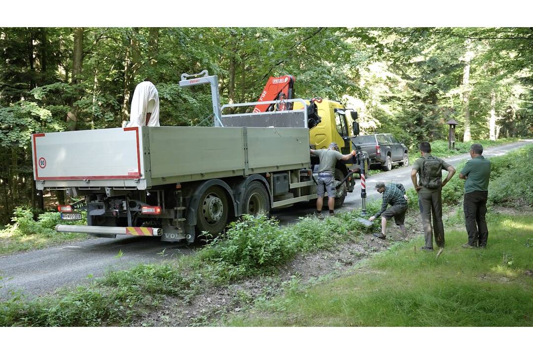 FOTO: Košické lesy zdobia nové vyrezávané lavičky z dreva, foto 2