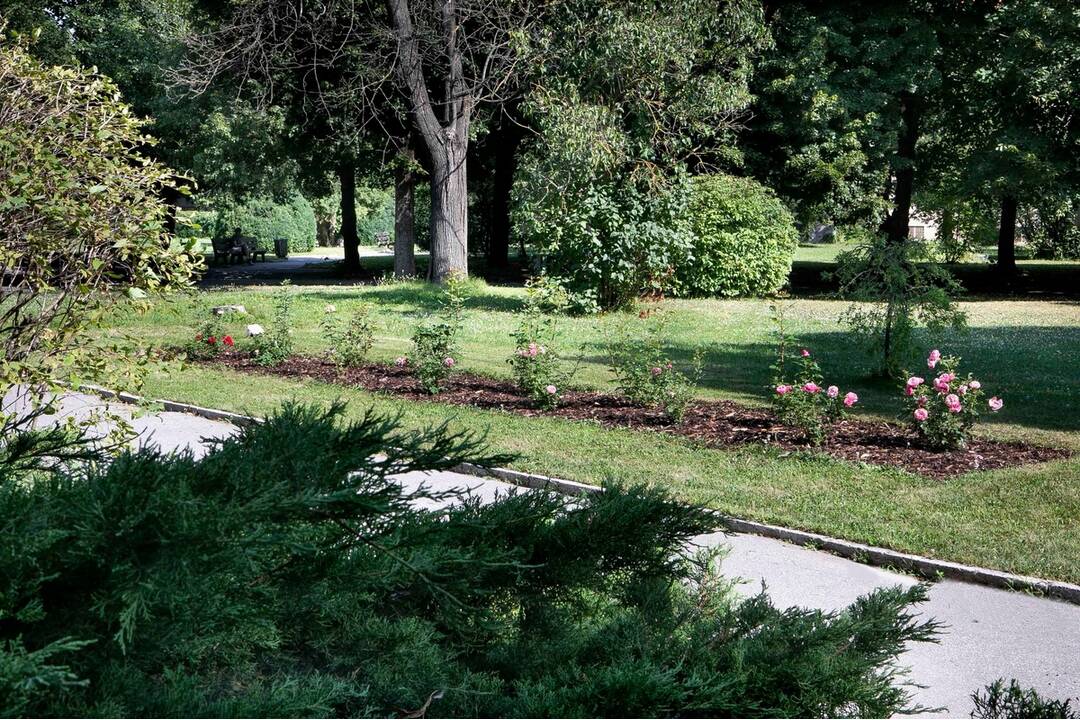 FOTO: Historický park v košickej nemocnici skrásnel , foto 6