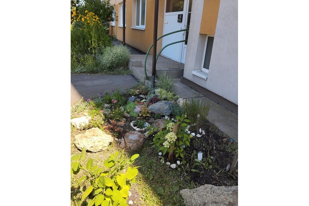 FOTO: Košičania zveľadili svoje sídliská. Zafarbili ich kvetmi aj šťavnatou úrodou, foto 5