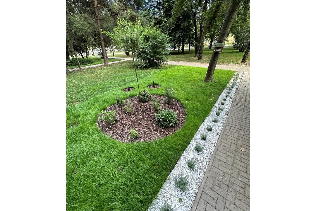 FOTO: Košičania zveľadili svoje sídliská. Zafarbili ich kvetmi aj šťavnatou úrodou, foto 6