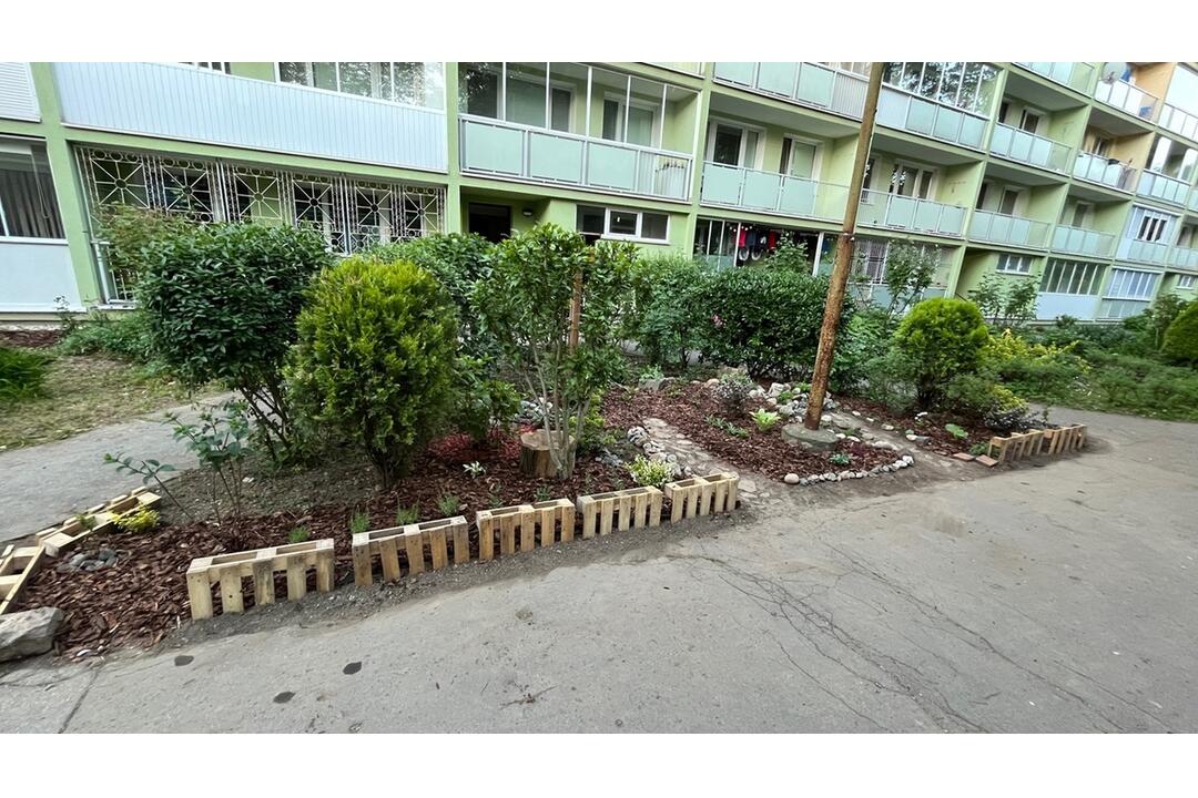 FOTO: Košičania zveľadili svoje sídliská. Zafarbili ich kvetmi aj šťavnatou úrodou, foto 7