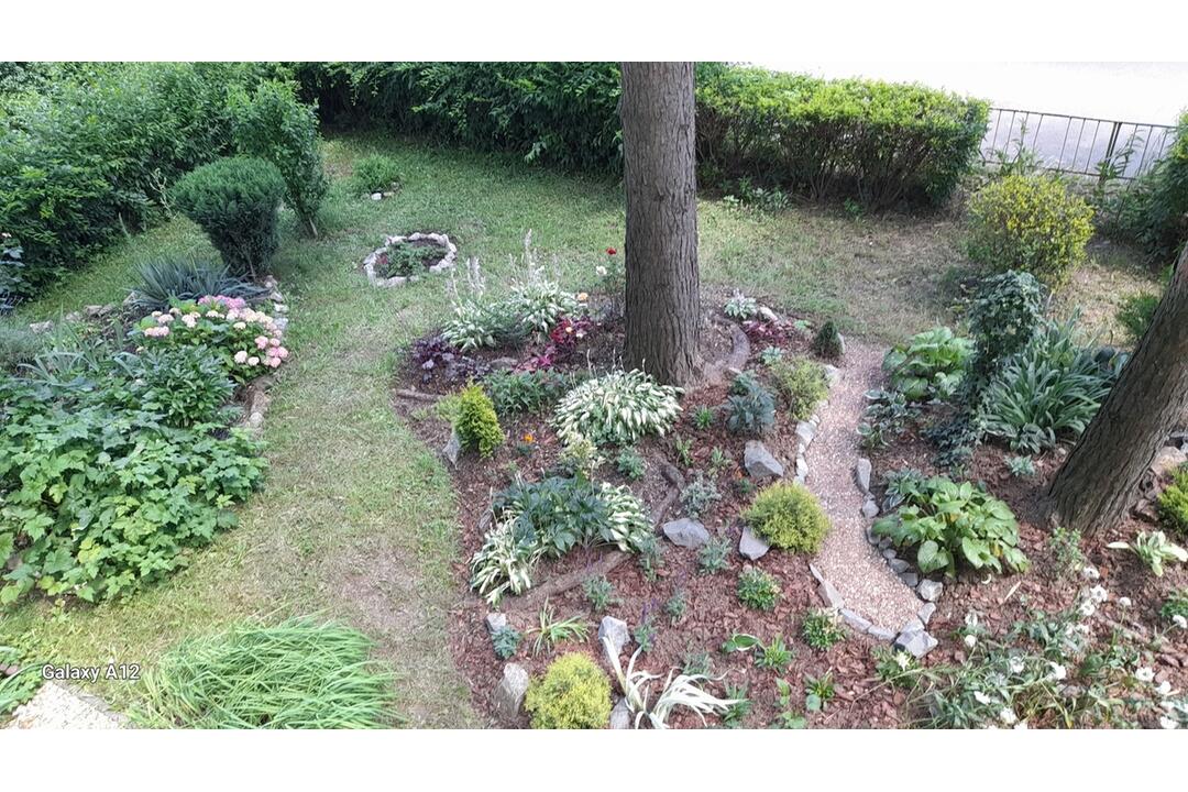 FOTO: Košičania zveľadili svoje sídliská. Zafarbili ich kvetmi aj šťavnatou úrodou, foto 8