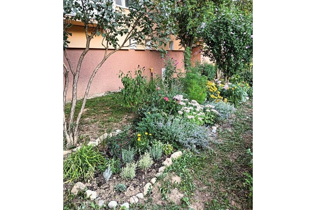 FOTO: Košičania zveľadili svoje sídliská. Zafarbili ich kvetmi aj šťavnatou úrodou, foto 9