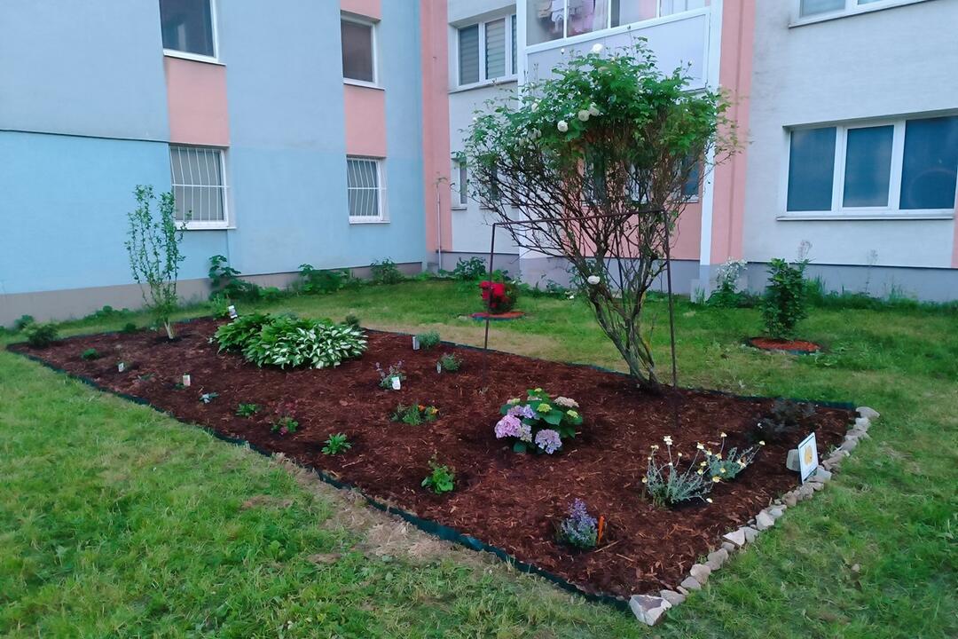 FOTO: Košičania zveľadili svoje sídliská. Zafarbili ich kvetmi aj šťavnatou úrodou, foto 10