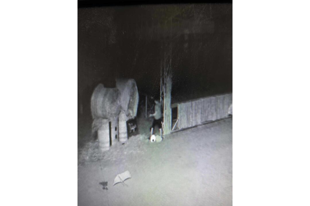 FOTO: Neznámi páchatelia zničili obľúbené slamené postavičky Bači s Tetkou v obci Trstené pri Hornáde, foto 2