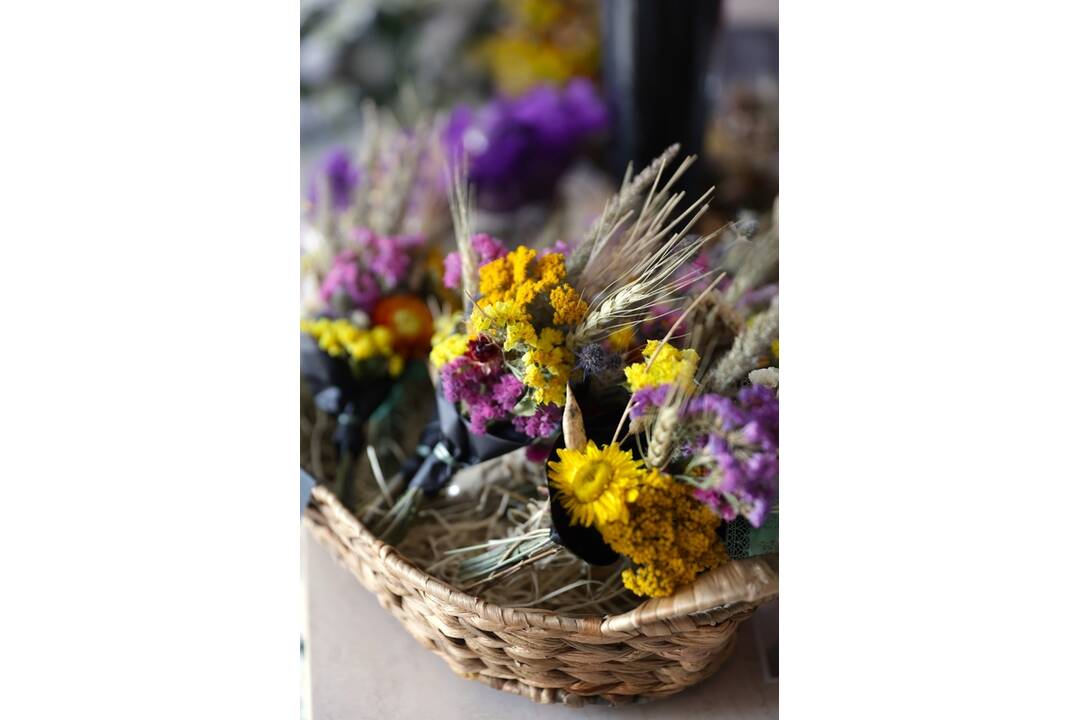 FOTO: Na Verejnom cintoríne v Košiciach otvorili nové kvetinárstvo, foto 5