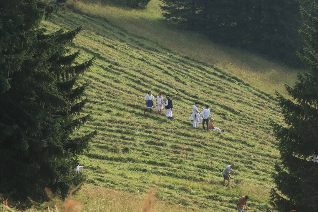 FOTO: Už šiesty rok dobrovoľníci kosili Kopanecké lúky, foto 2