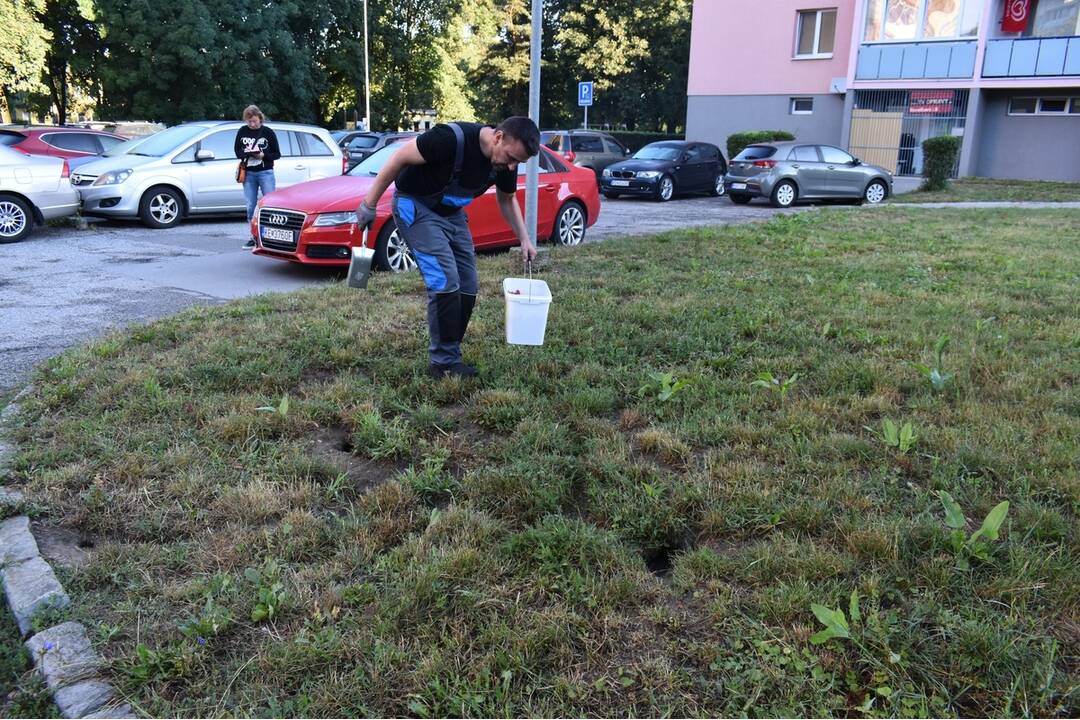 FOTO: V košickej mestskej časti Nad jazerom pokračujú v deratizácii, foto 3